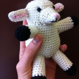 Meet your Posher, Anne